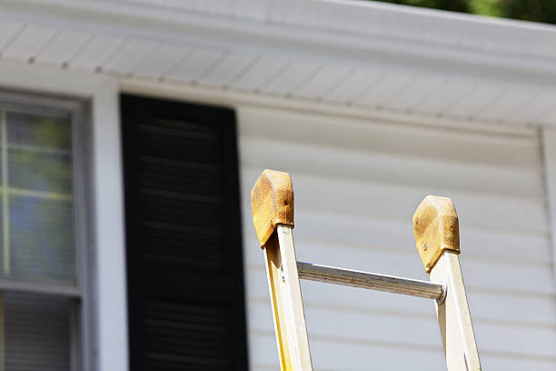 Best Fascia and Soffit Installation  in Cana, VA